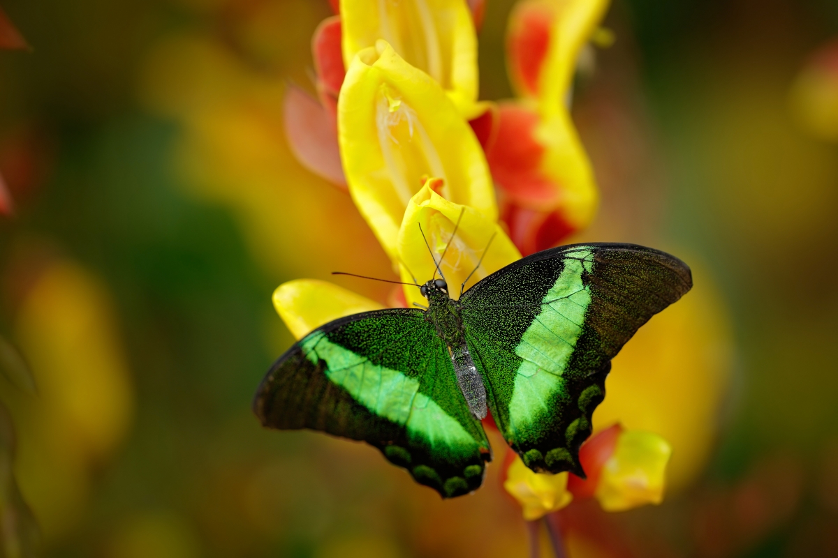 Featured Image 1