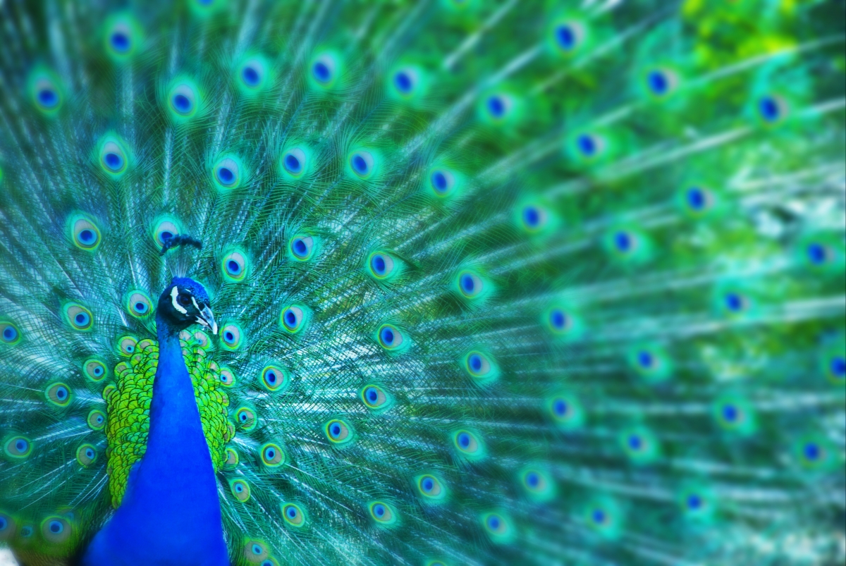 Featured Image 3
